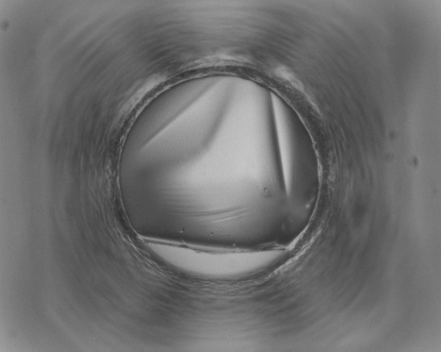 X0000076261313200610191704