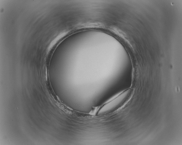 X0000076261317200610191704