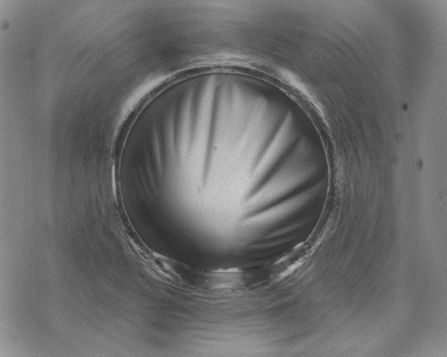 X0000076261320200610191704