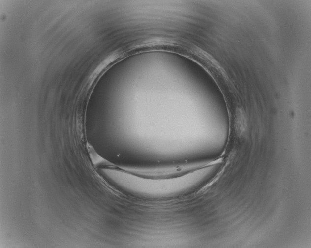 X0000076261321200610191704