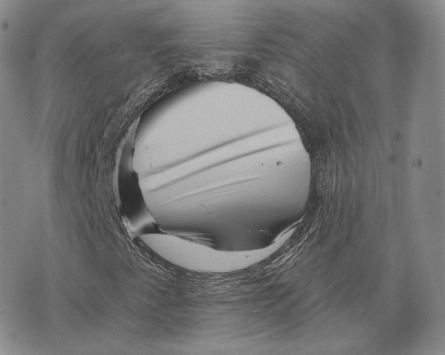X0000076261345200610191703