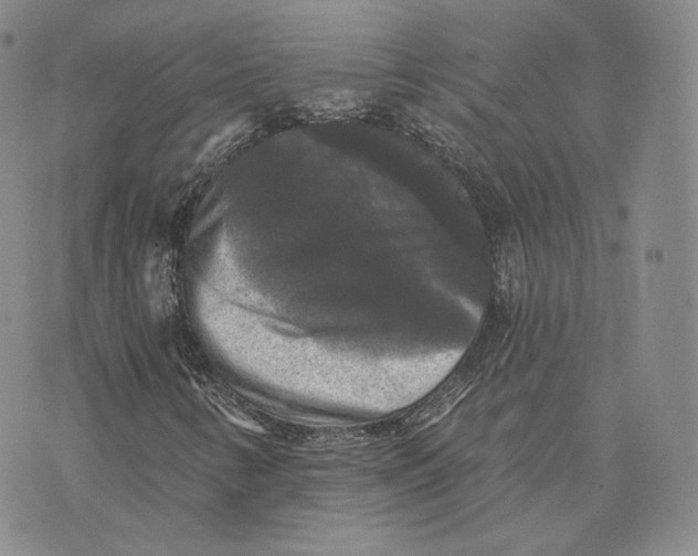 X0000076261346200610191703