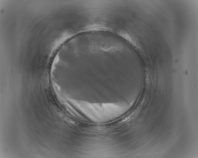 X0000076261358200610191703