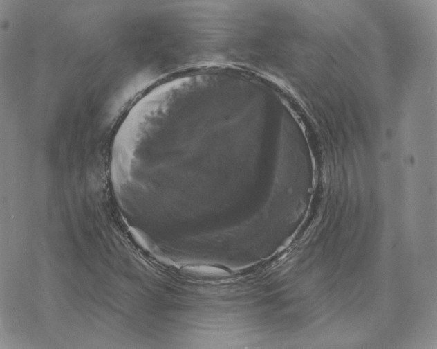 X0000076261359200610191703
