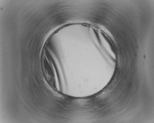 X0000076261380200610191703