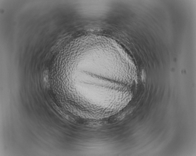 X0000076261396200610191702