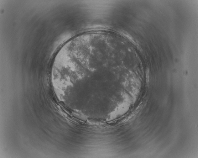 X0000076261405200610191702