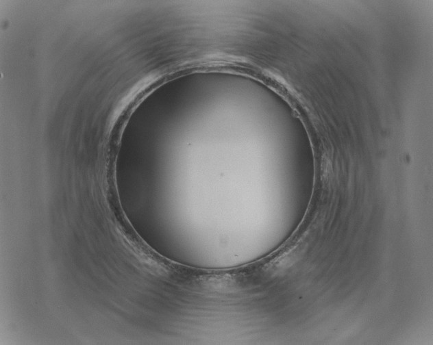 X0000076261410200610191702