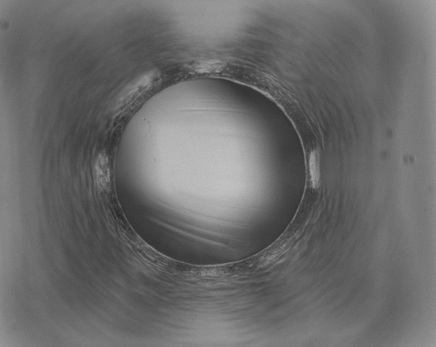 X0000076261443200610191702