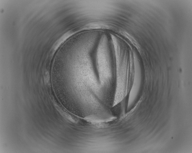 X0000076261465200610191702