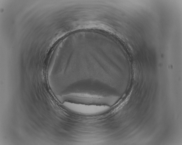 X0000076261497200610191700