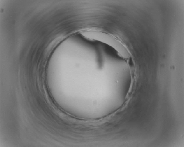 X0000076260001200610262017