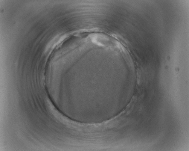 X0000076260002200610262017