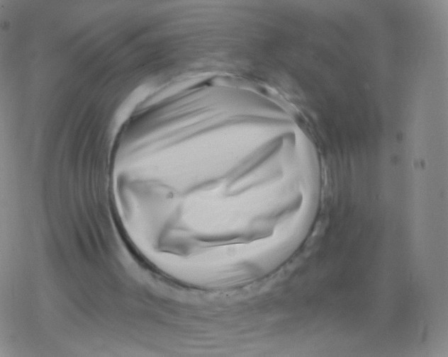 X0000076260003200610262017