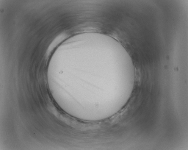 X0000076260004200610262017