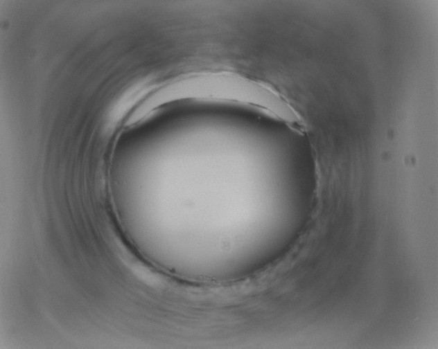 X0000076260005200610262017