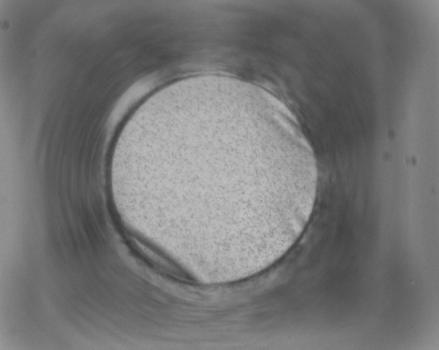 X0000076260006200610262017