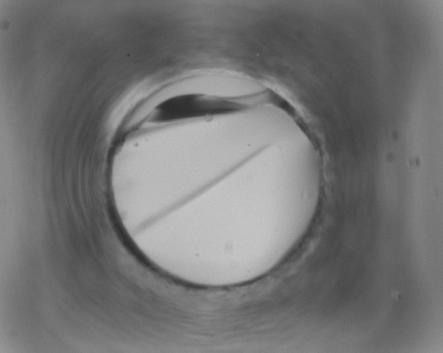 X0000076260007200610262017