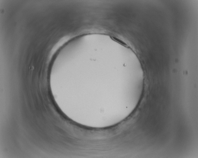 X0000076260008200610262017