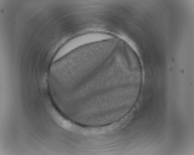 X0000076260009200610262017