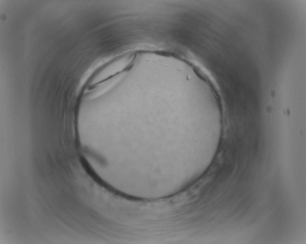 X0000076260011200610262017