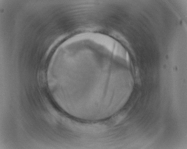 X0000076260012200610262017