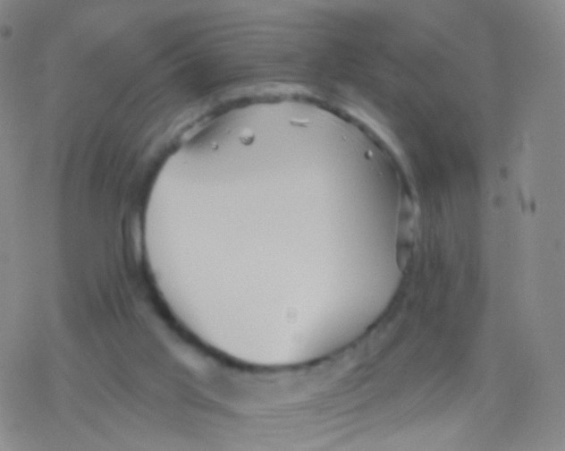 X0000076260013200610262017