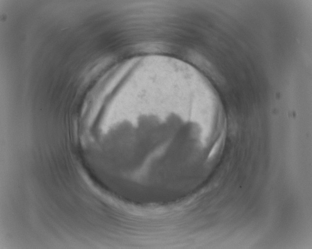 X0000076260014200610262017