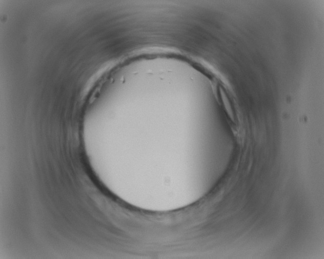 X0000076260015200610262017