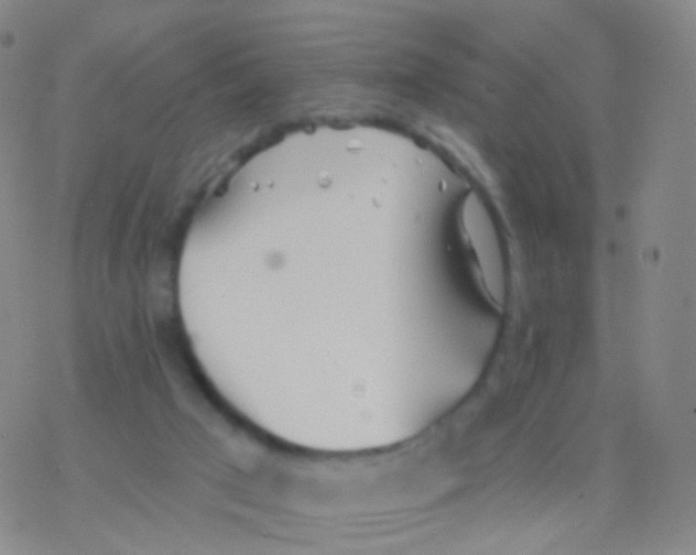 X0000076260017200610262017