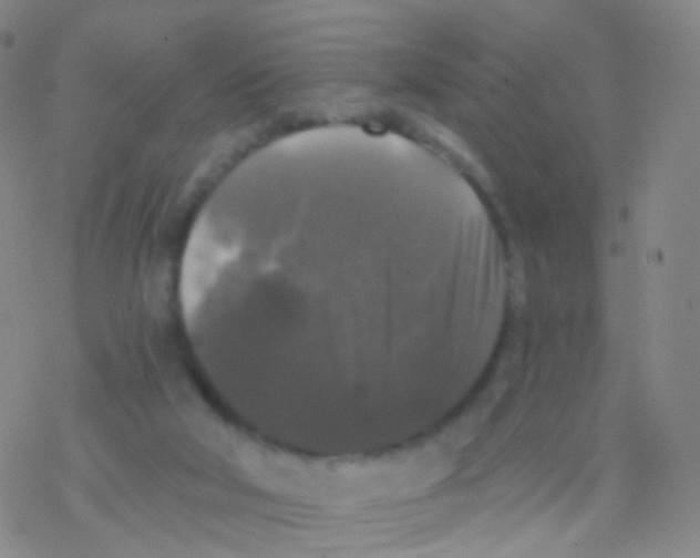 X0000076260018200610262017