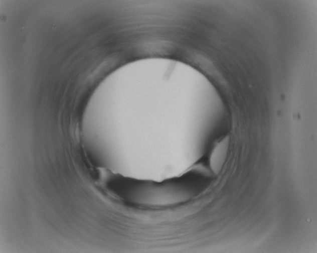 X0000076260021200610262016