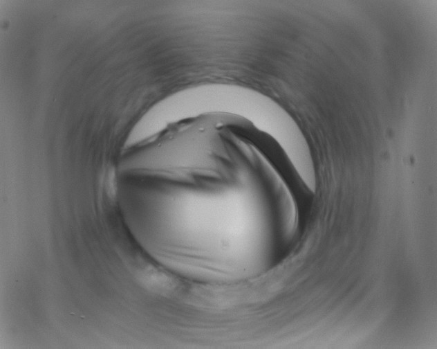 X0000076260041200610262016