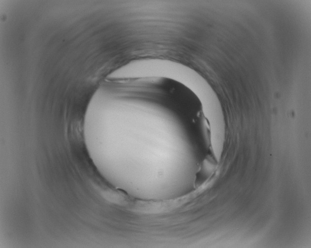 X0000076260045200610262016