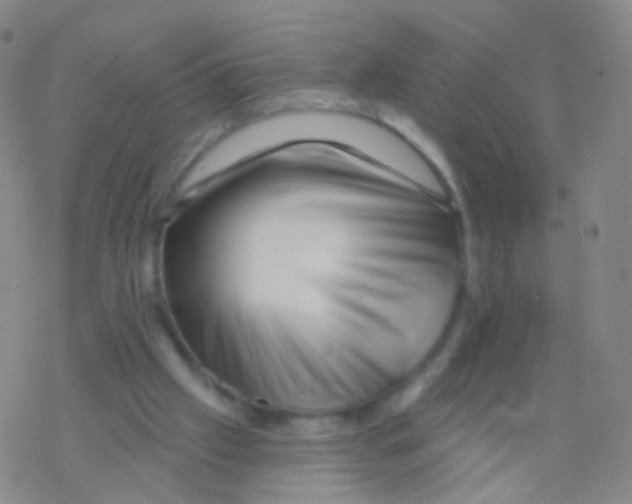 X0000076260057200610262015
