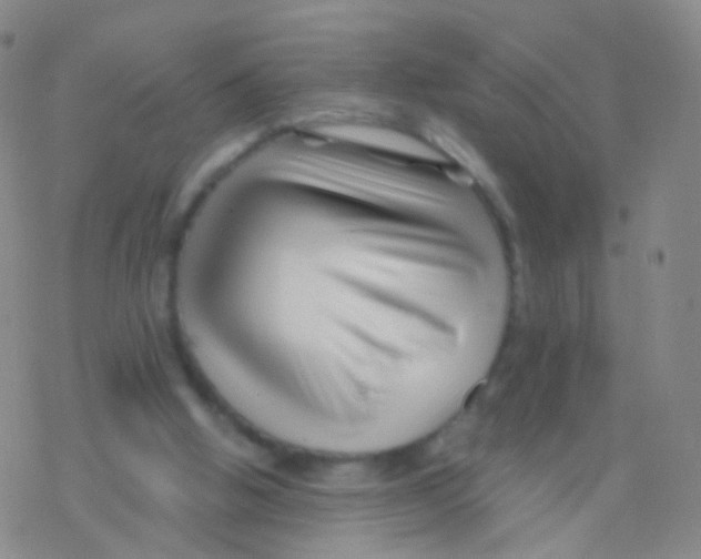 X0000076260058200610262015