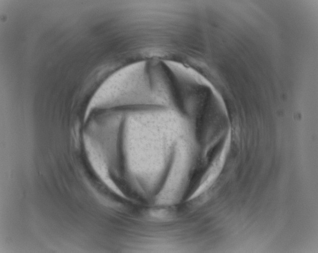 X0000076260070200610262016