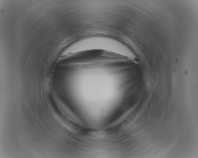 X0000076260071200610262016