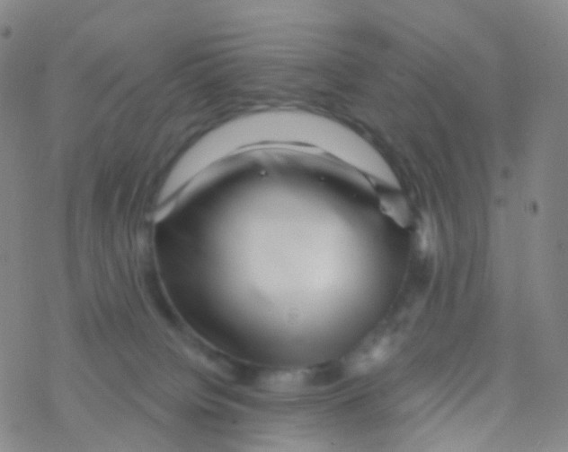 X0000076260084200610262016