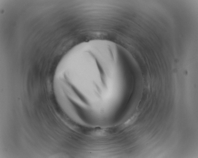 X0000076260086200610262016
