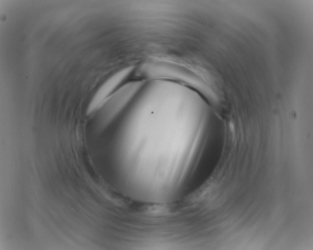 X0000076260088200610262016
