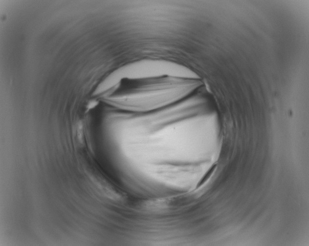 X0000076260094200610262016