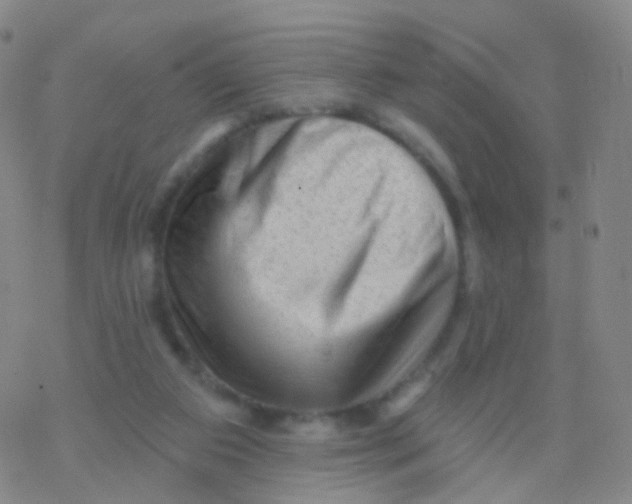 X0000076260113200610262015