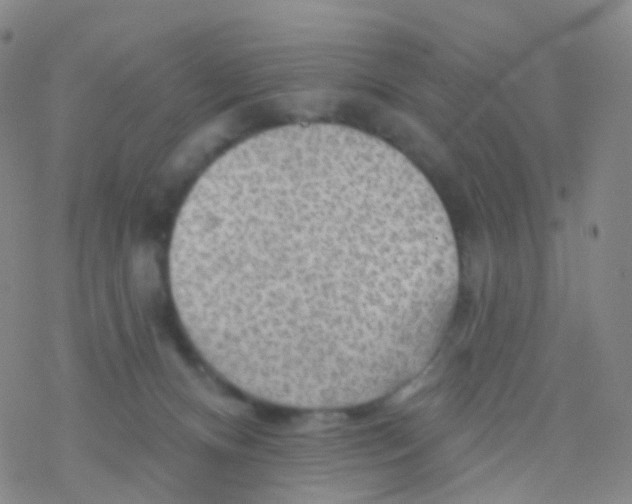 X0000076260128200610262015