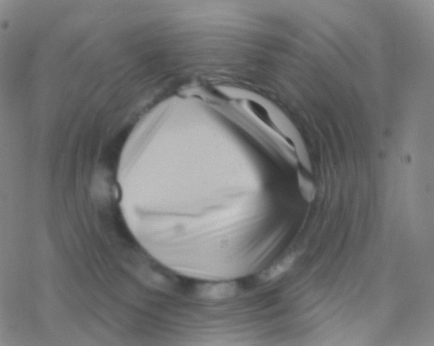 X0000076260135200610262015