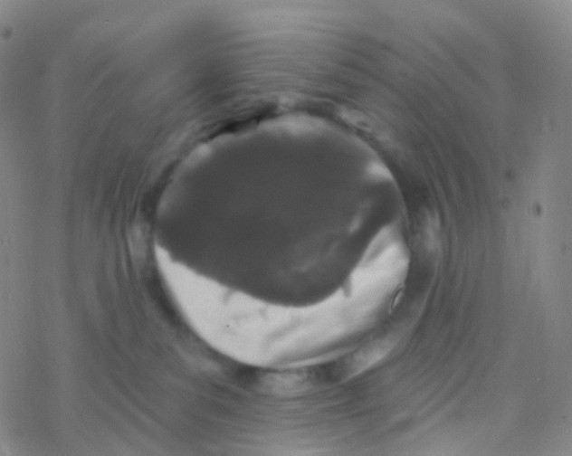 X0000076260139200610262015