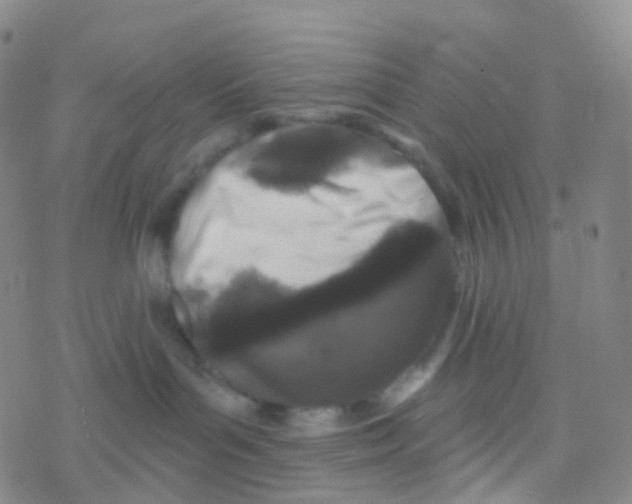 X0000076260143200610262014