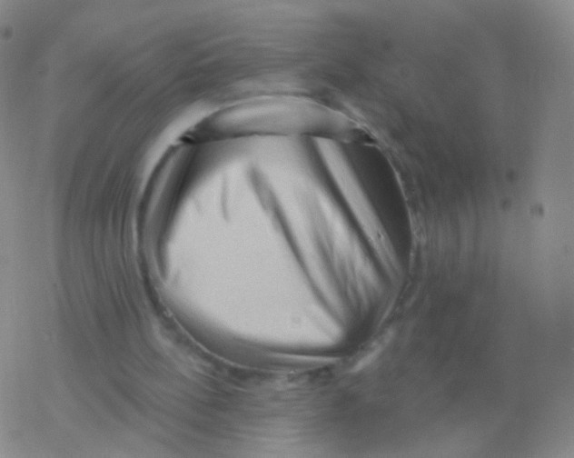 X0000076260148200610262014