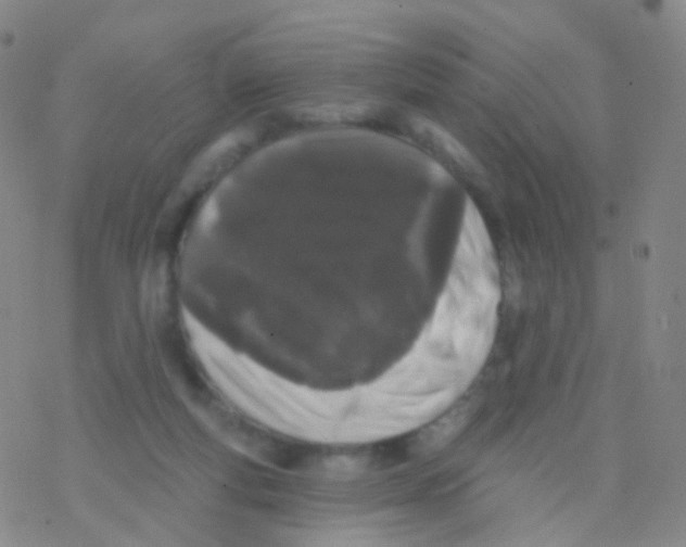 X0000076260163200610262014