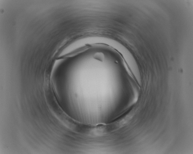 X0000076260168200610262014